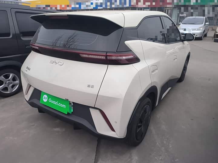 BYD Seagull 2025 2025款 305km 活力版