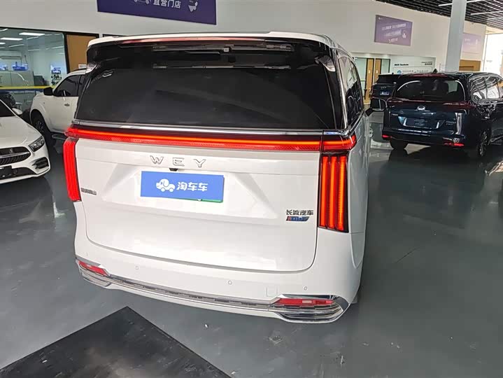 Wey Gaoshan 2023 2023款 四驱旗舰版