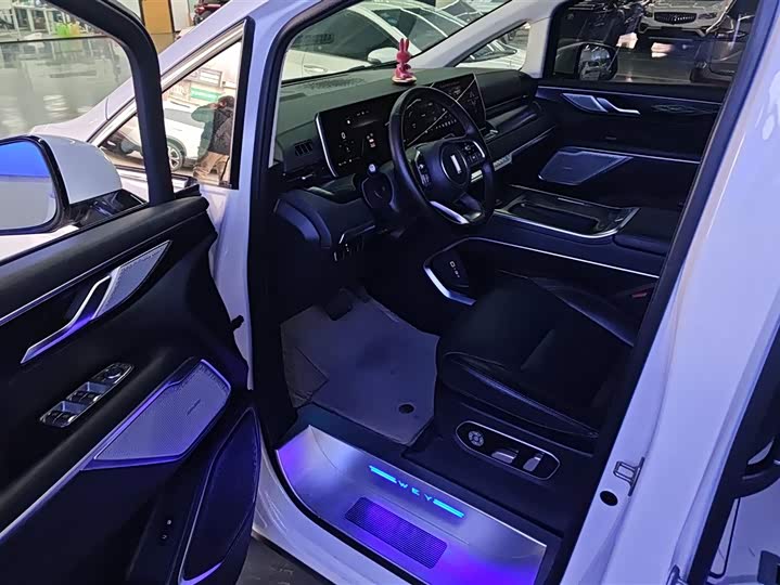 Wey Gaoshan 2023 2023款 四驱旗舰版