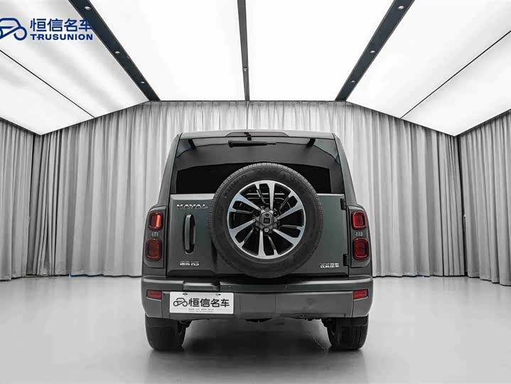 Haval H9 2024 2024款 2.0T 汽油四驱极境版