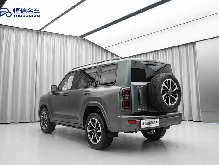 Haval H9 2024 2024款 2.0T 汽油四驱极境版