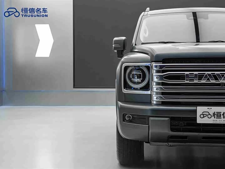 Haval H9 2024 2024款 2.0T 汽油四驱极境版