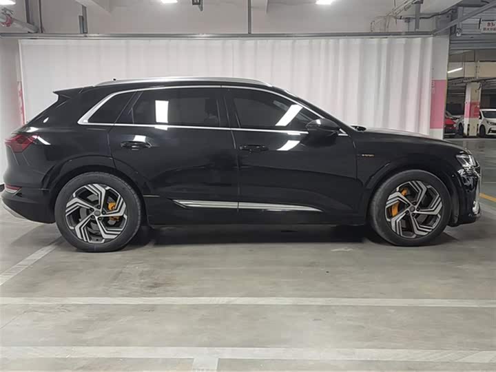 Audi e-tron 2021 2021款 50 quattro 臻选型
