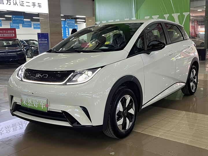 BYD Dolphin 2025 2025款 420km 自由版