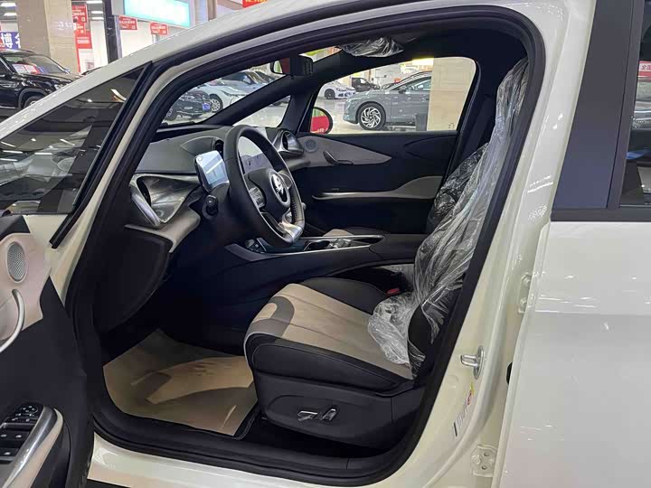 BYD Dolphin 2025 2025款 420km 自由版