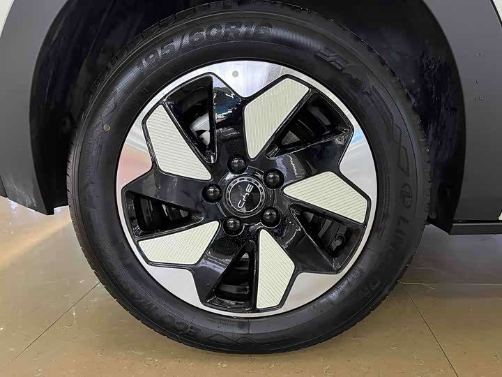 BYD Dolphin 2025 2025款 420km 自由版