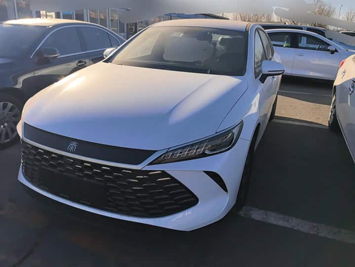 BYD Qin Plus 2025 2025款 DM-i 智驾版 55KM领先型