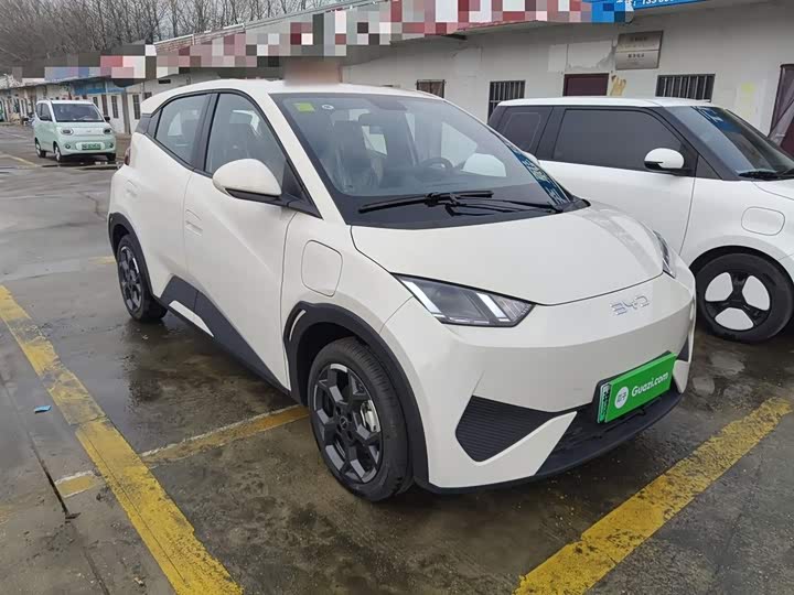 BYD Seagull 2025 2025款 405km 飞翔版