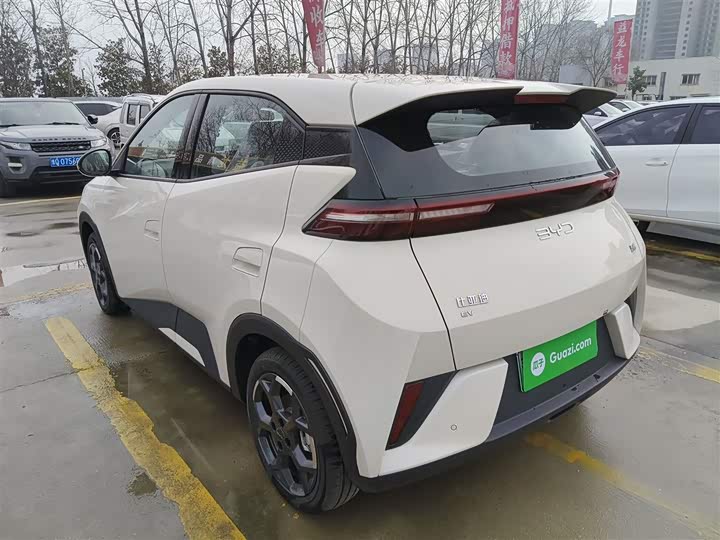 BYD Seagull 2025 2025款 405km 飞翔版