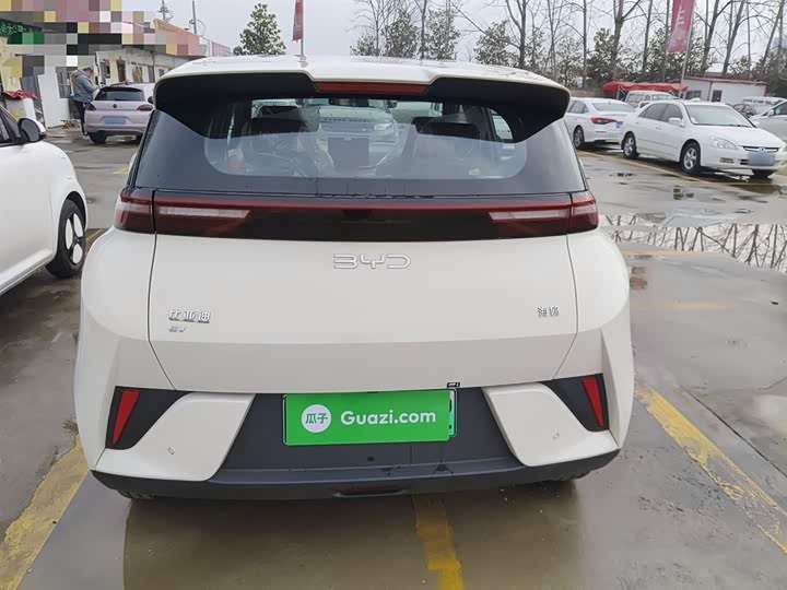 BYD Seagull 2025 2025款 405km 飞翔版