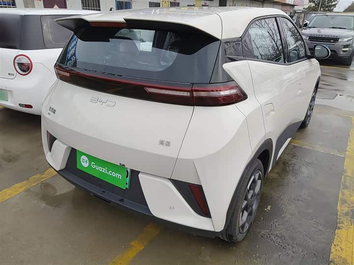 BYD Seagull 2025 2025款 405km 飞翔版