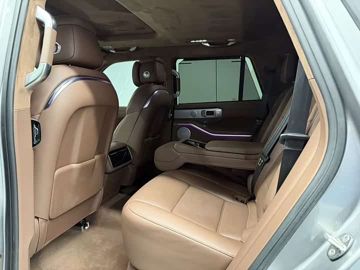 Tank 700 Hybrid 2024 2024款 Hi4-T 极境版