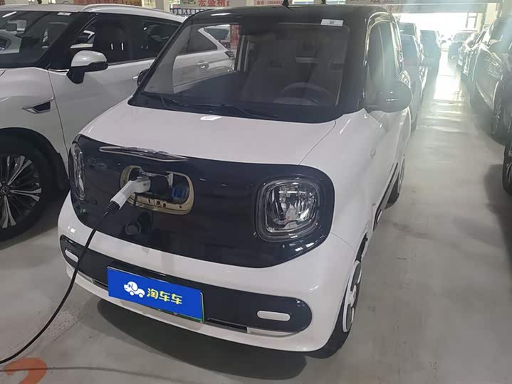 Bestune Pony 2025 2025款 222km 闪电马