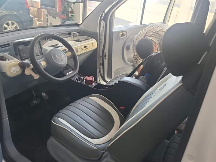 Bestune Pony 2025 2025款 222km 闪电马