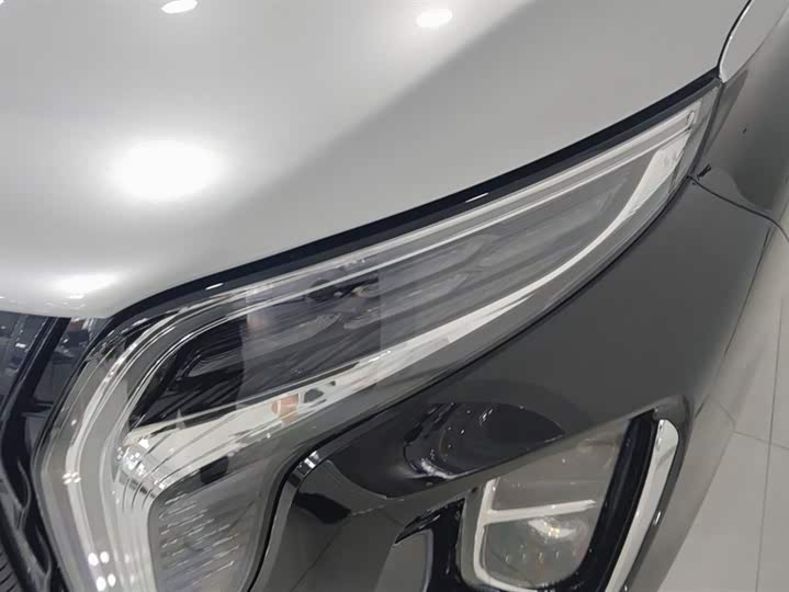 Hongqi HS7 Hybrid 2024 2024款 2.0T PHEV 两驱旗享版 7座