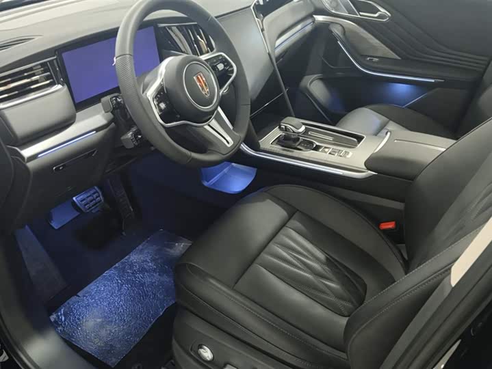 Hongqi HS7 Hybrid 2024 2024款 2.0T PHEV 两驱旗享版 7座