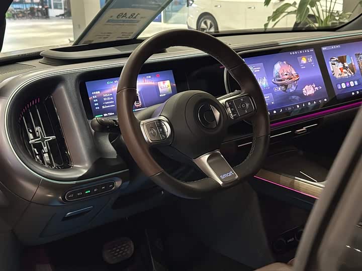 Smart #5 2024 2024款 超长续航奇旅 豪华版