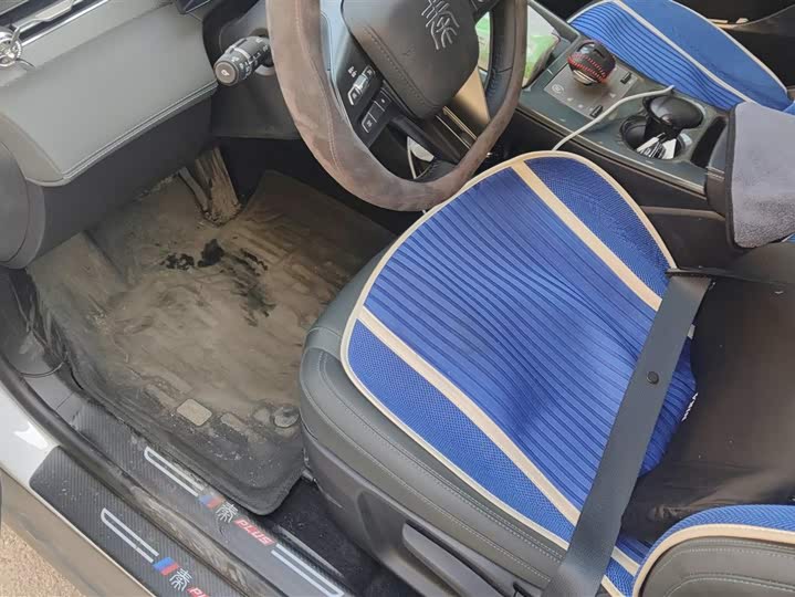 BYD Qin Plus 2025 2025款 DM-i 智驾版 55KM领先型