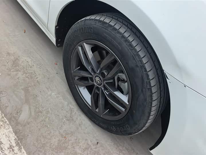 BYD Qin Pro 2020 2020款 超越版 1.5TI 自动尊贵型