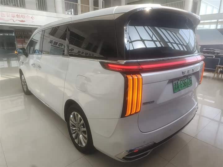 Wey Gaoshan 2023 2023款 四驱旗舰版