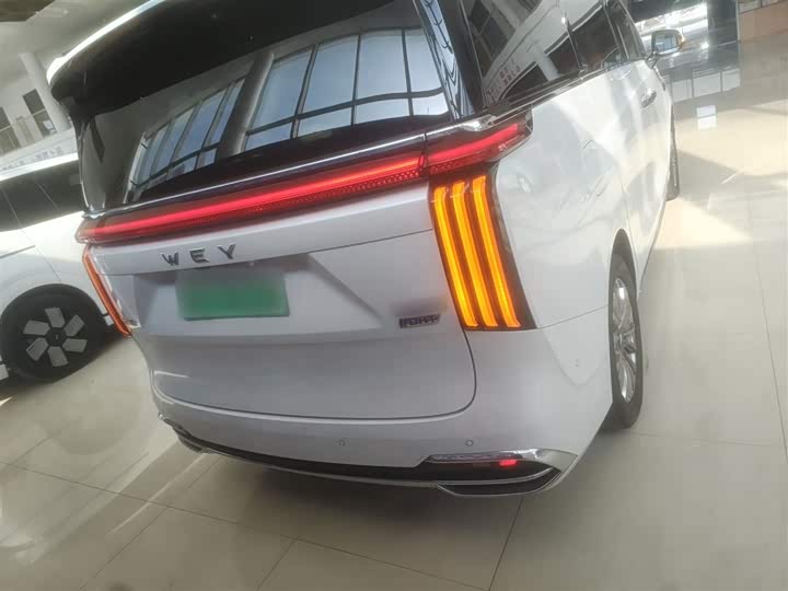 Wey Gaoshan 2023 2023款 四驱旗舰版