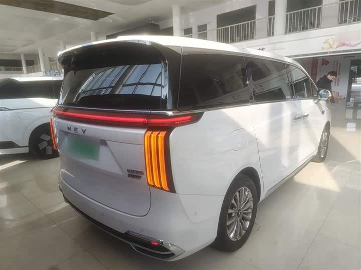 Wey Gaoshan 2023 2023款 四驱旗舰版