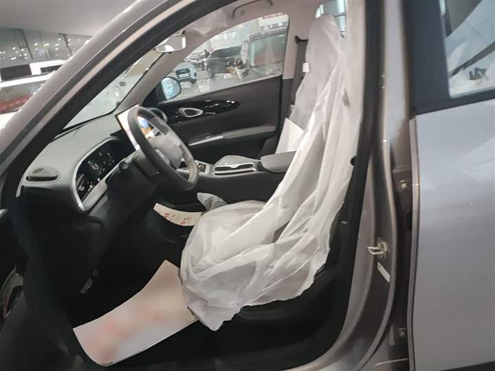 Geely Galaxy Geome 2026 2026款 310km 梦想版