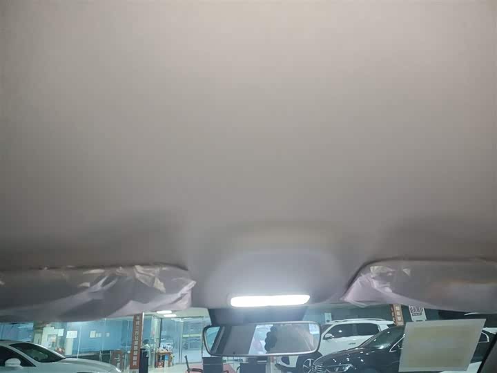 Geely Galaxy Geome 2026 2026款 310km 梦想版