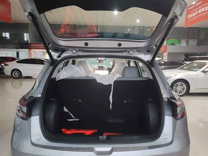 Geely Galaxy Geome 2026 2026款 310km 梦想版