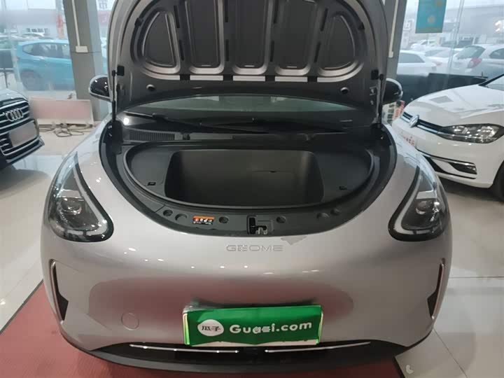 Geely Galaxy Geome 2026 2026款 310km 梦想版