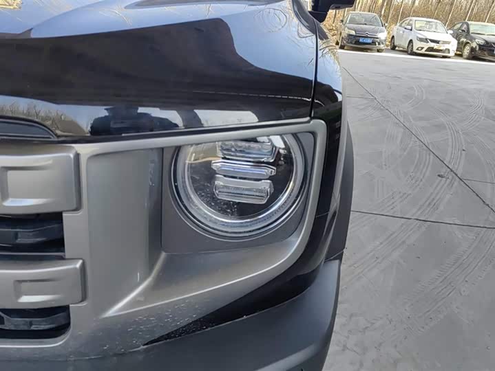 Haval Dargo 2024 2024款 1.5T DCT边牧版