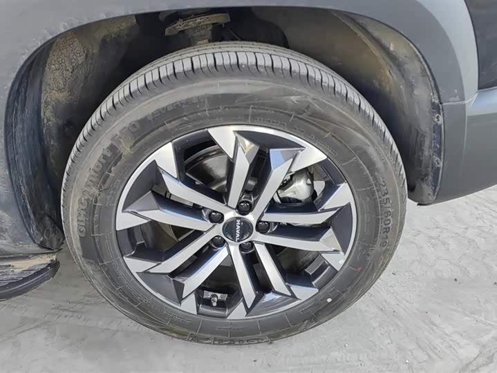 Haval Dargo 2024 2024款 1.5T DCT边牧版