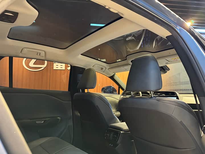 Lexus RZ 2023 2023款 450e 四驱纵享版