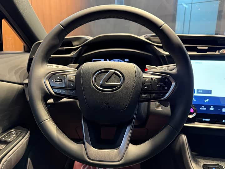 Lexus RZ 2023 2023款 450e 四驱纵享版