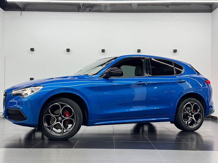 Alfa Romeo Stelvio 2022 2022款 2.0T 280HP Veloce赛道版