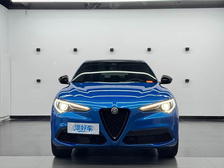 Alfa Romeo Stelvio 2022 2022款 2.0T 280HP Veloce赛道版