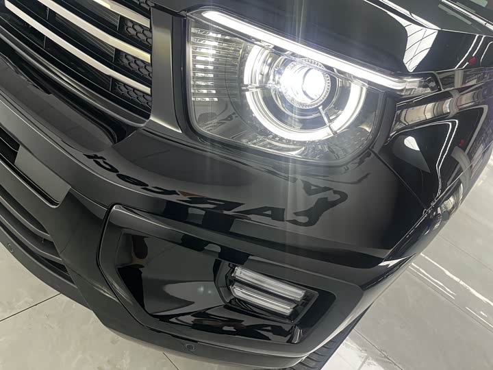 Tank 700 Hybrid 2024 2024款 Hi4-T 极境版