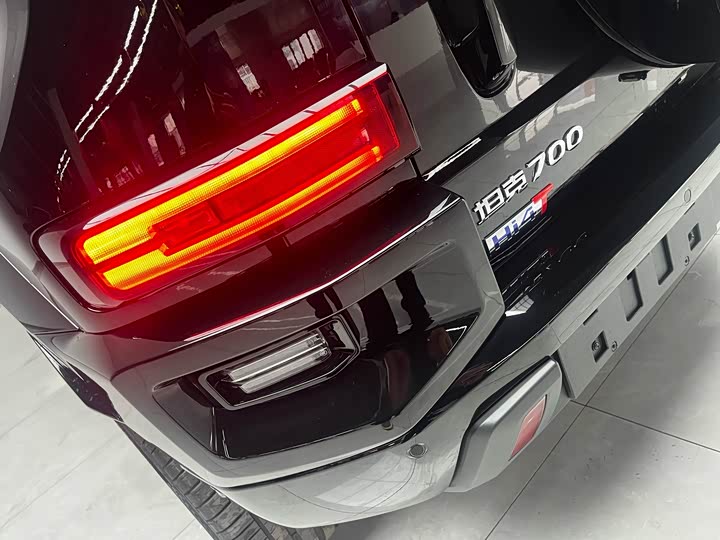 Tank 700 Hybrid 2024 2024款 Hi4-T 极境版