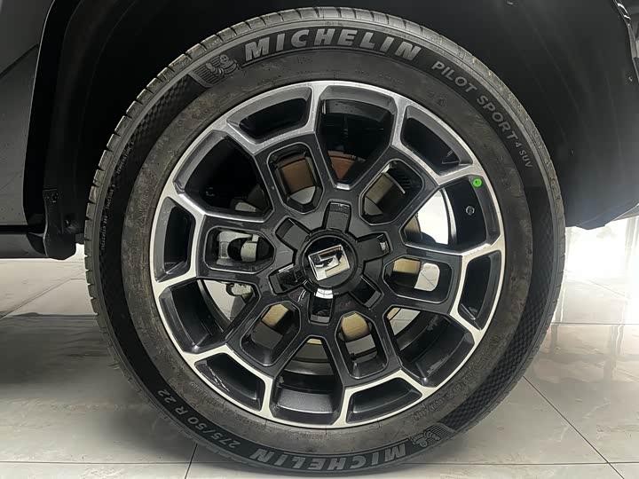 Tank 700 Hybrid 2024 2024款 Hi4-T 极境版