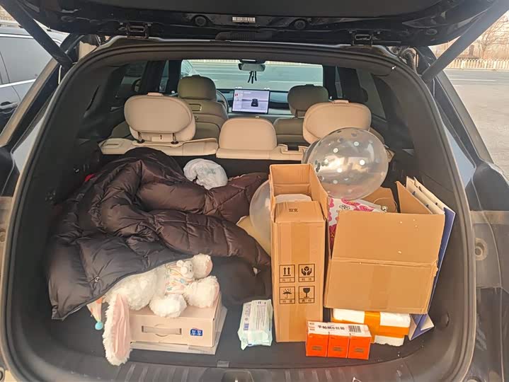 Changan Qiyuan (Nevo) Q07 2025 2025款 145尊荣型