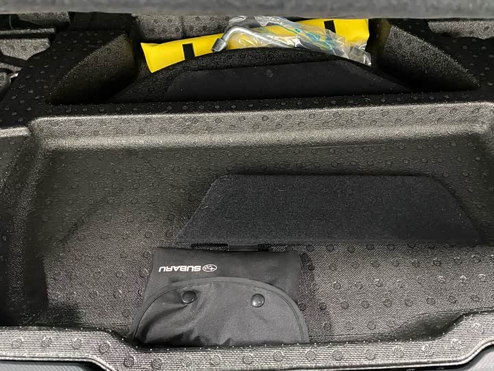 Subaru Forester 2022 2022款 2.0i AWD豪华版EyeSight