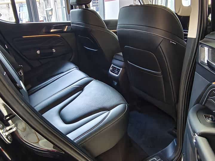 Tank 300 Hybrid 2025 2025款 Hi4-T 37.1kWh