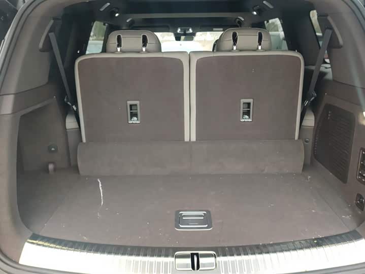 Denza N9 2025 2025款 尊荣型