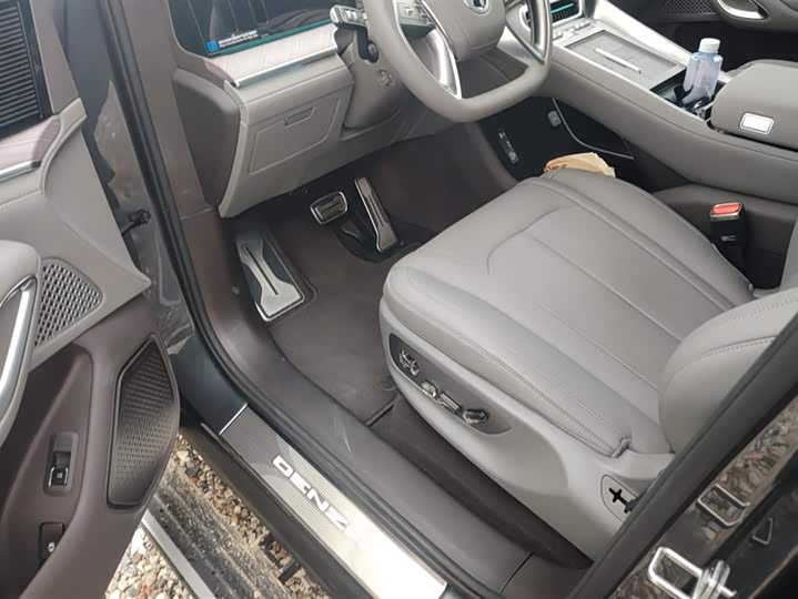 Denza N9 2025 2025款 尊荣型