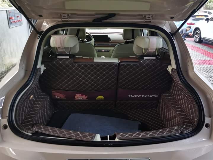 Ora Good Cat (03) 2023 2023款 401km标准续航 豪华型 磷酸铁锂