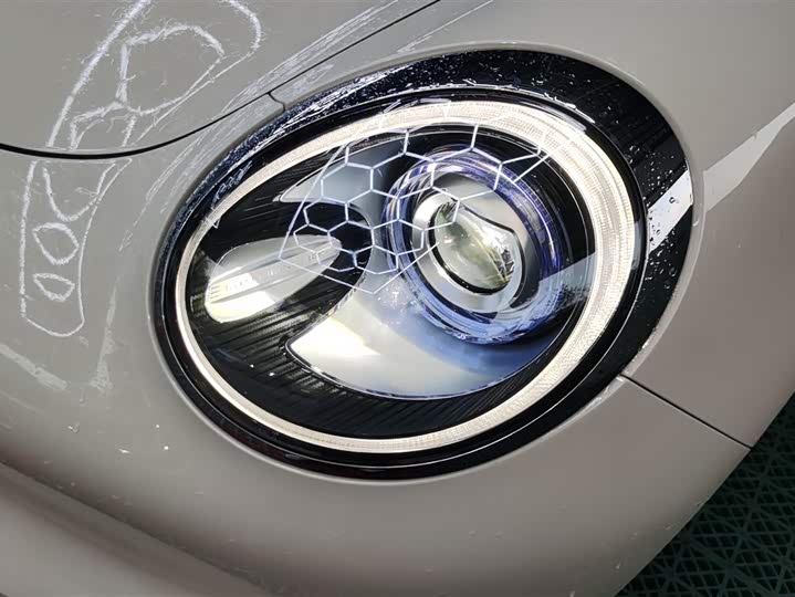 Ora Good Cat (03) 2023 2023款 401km标准续航 豪华型 磷酸铁锂