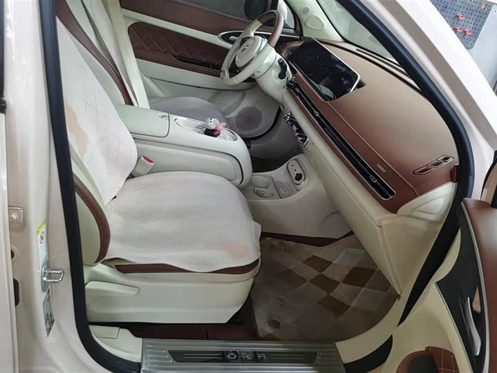 Ora Good Cat (03) 2023 2023款 401km标准续航 豪华型 磷酸铁锂