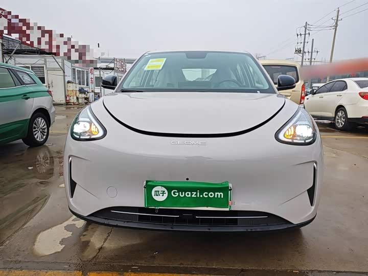 Geely Galaxy Geome 2026 2026款 310km 梦想版