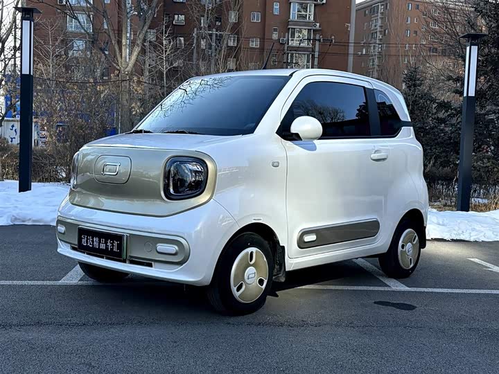 Bestune Pony 2025 2025款 222km 灵动马