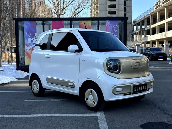 Bestune Pony 2025 2025款 222km 灵动马